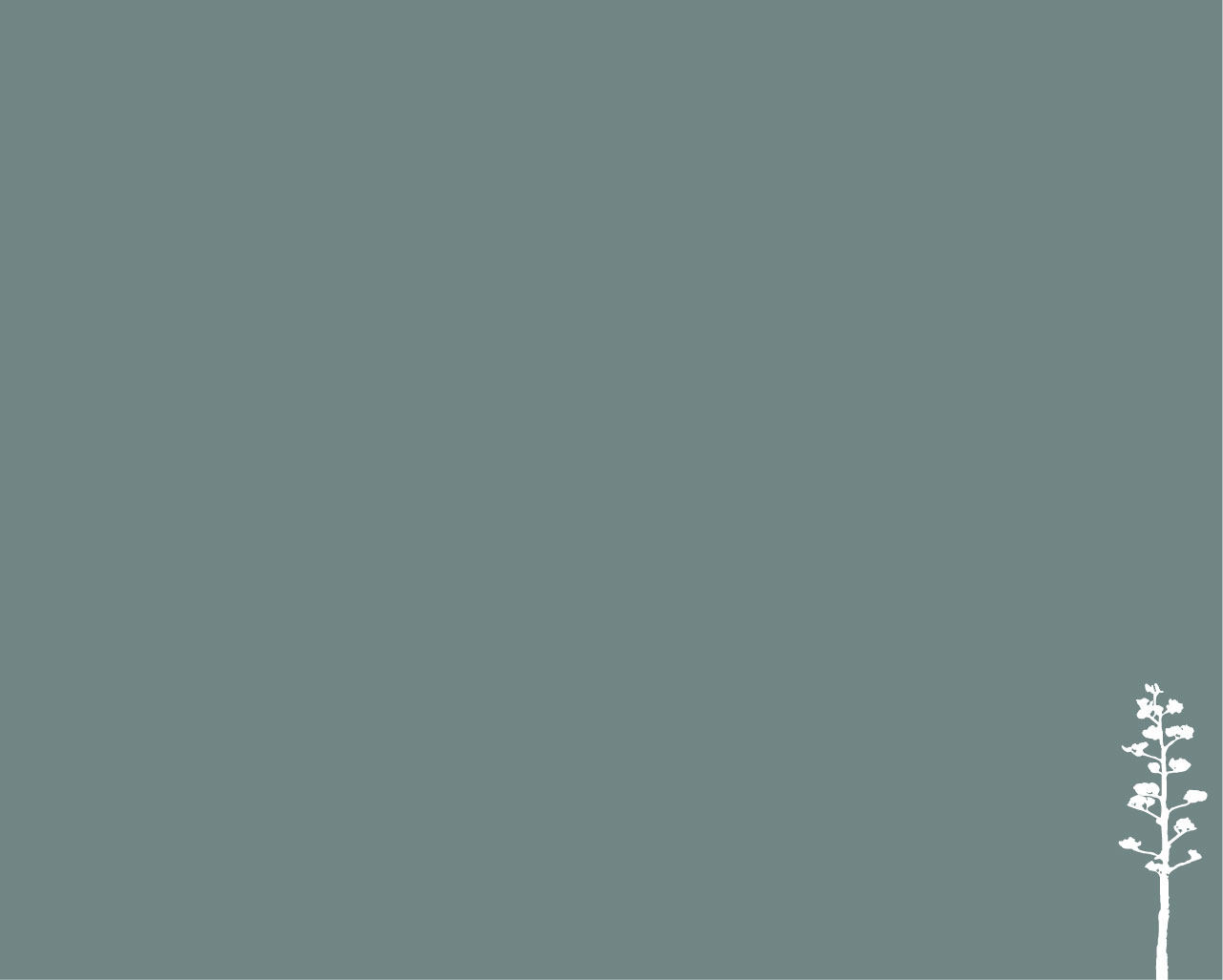 Image result for grey green